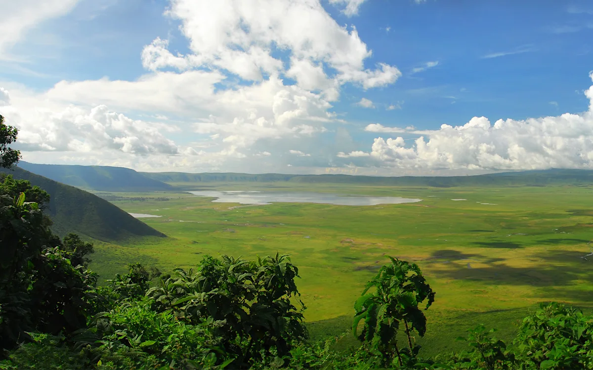 View from the rim into the green floor of Ngorongoro Crater