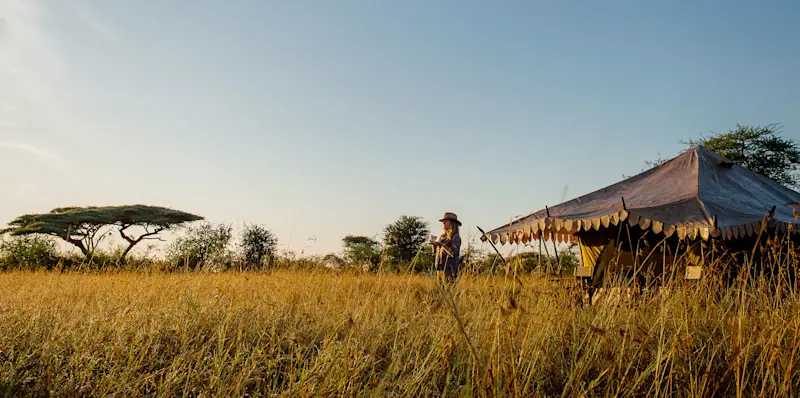 Guest standing in tall golden grass beside a safari tent