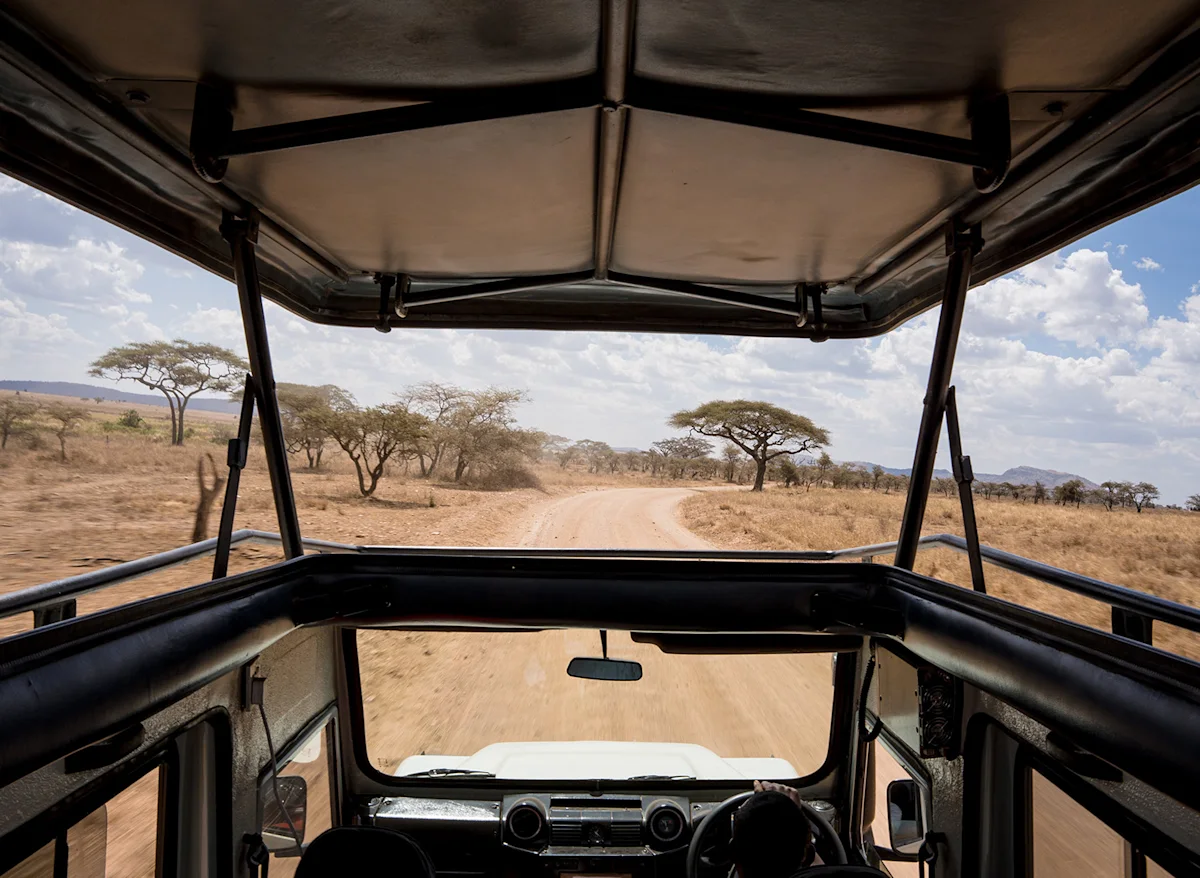 View through the open roof and windshield of a safari vehicle on a dirt road across the plains
