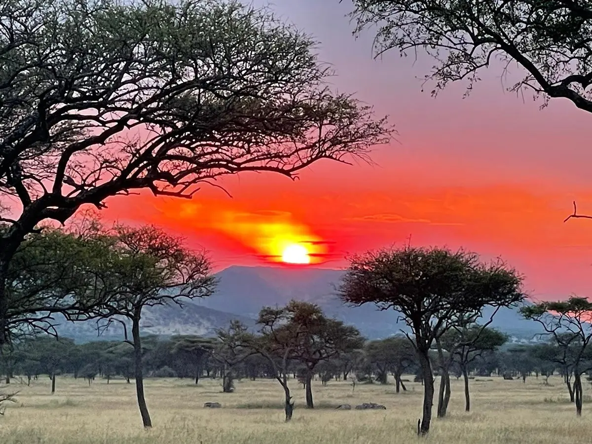 Sun setting behind acacia trees and distant hills on the savanna