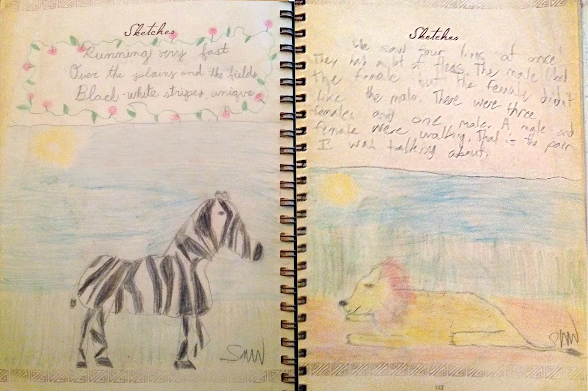Child's safari journal with handwritten notes and colored sketches of a zebra and a lion