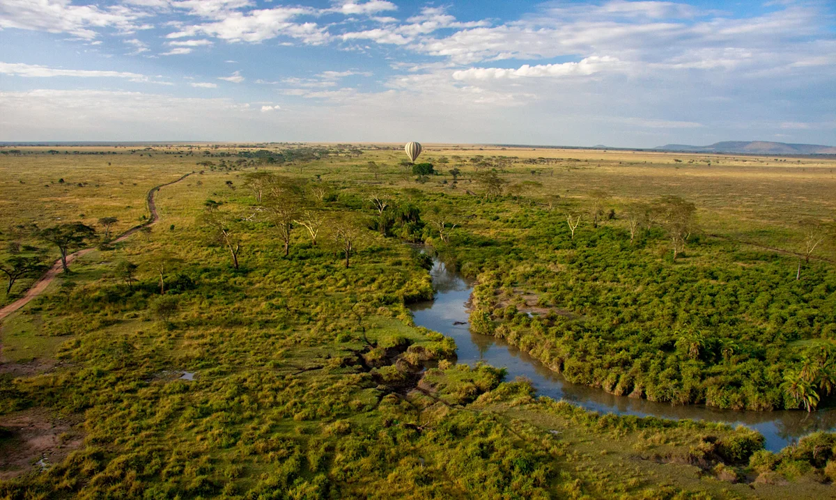 Aerial view of a river winding through green Serengeti woodland, with a hot air balloon in the distance