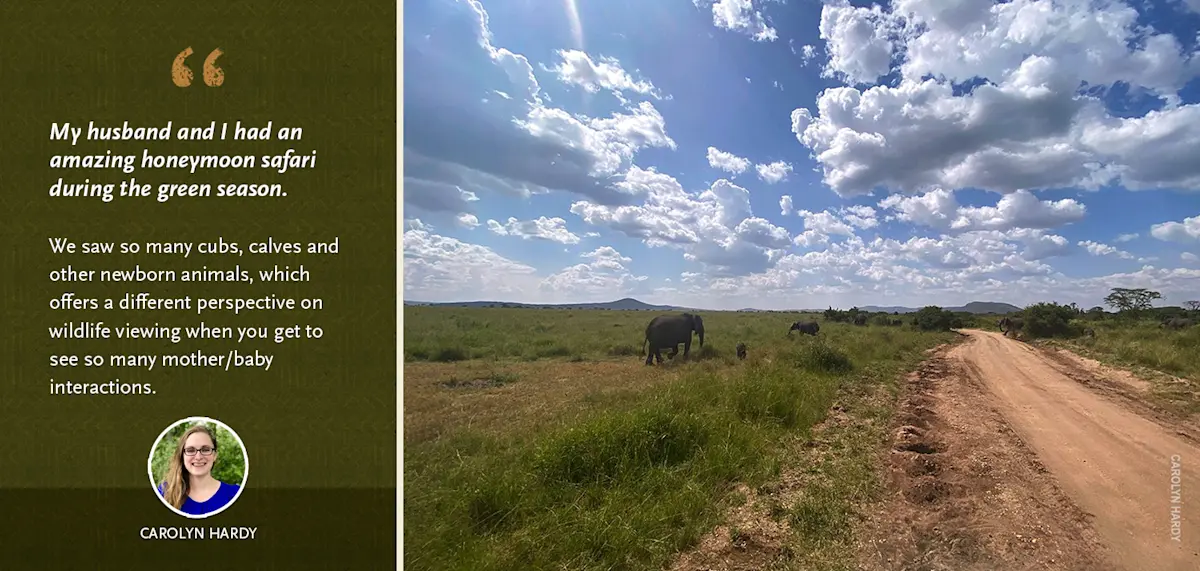 Carolyn Hardy quote about a green season honeymoon safari beside an elephant near a dirt track