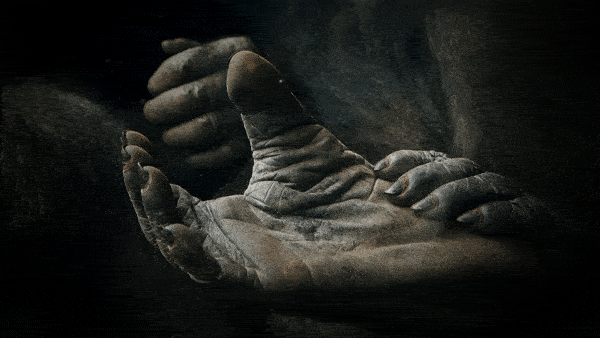 Close-up of a chimpanzee's hands resting together