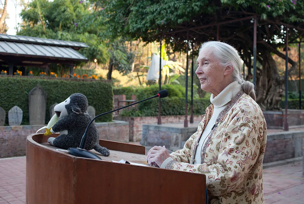 Jane Goodall speaking at an outdoor podium beside a stuffed toy monkey