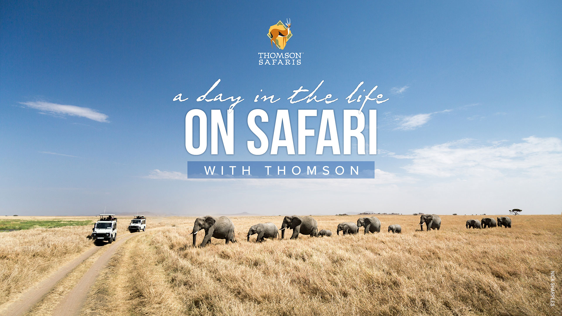 "A Day in the Life on Safari with Thomson" webinar title over elephants crossing the Serengeti plains near safari vehicles