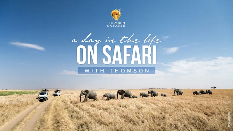 "A Day in the Life on Safari with Thomson" webinar title over elephants crossing the Serengeti plains near safari vehicles
