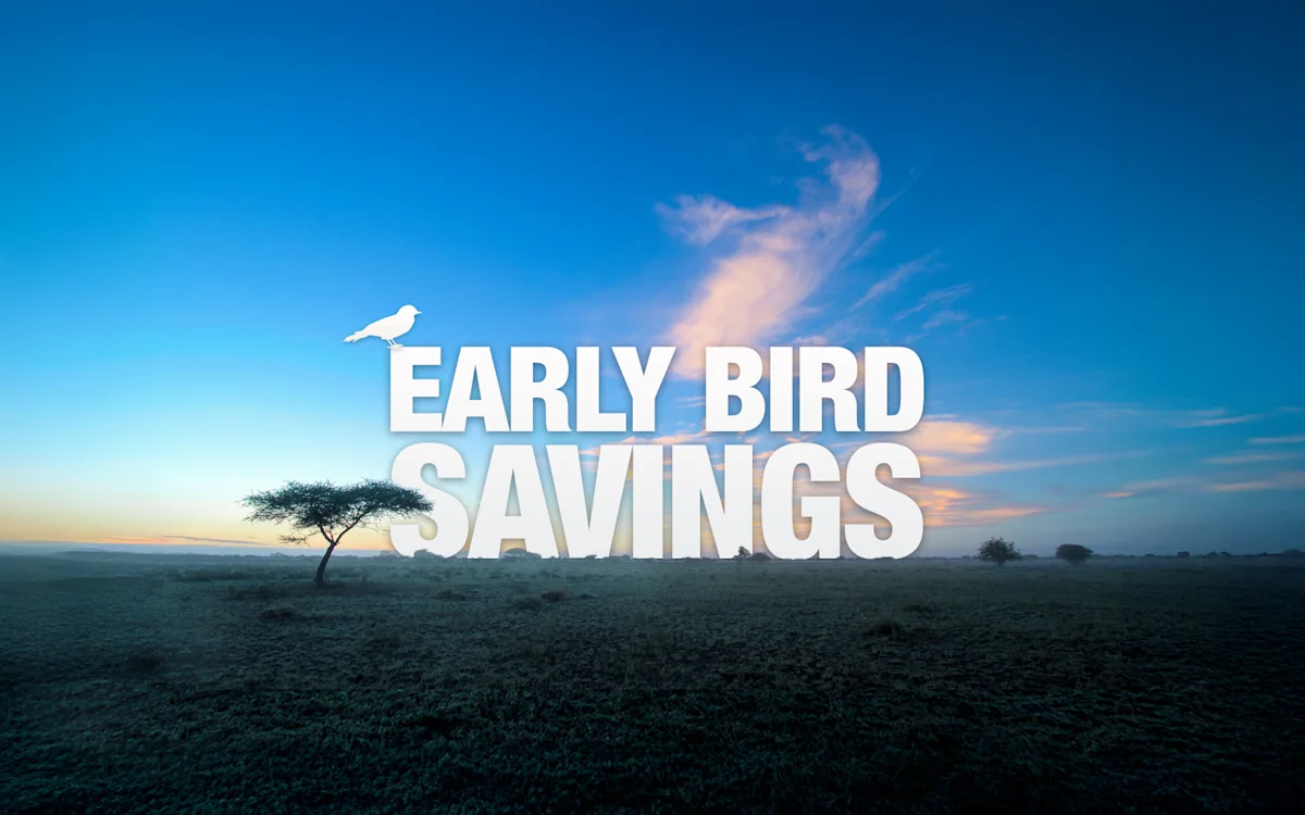"Early Bird Savings" over a lone acacia tree on the open plains