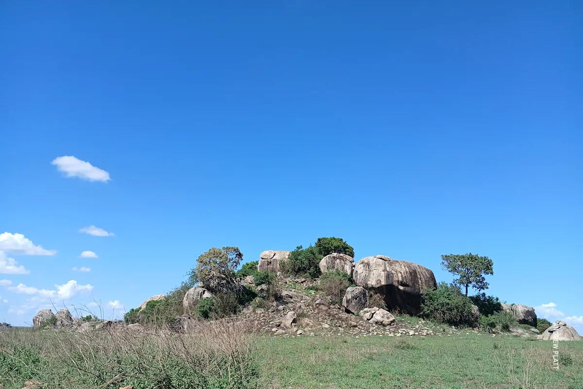 kopje in serengeti on beautiful sunny day