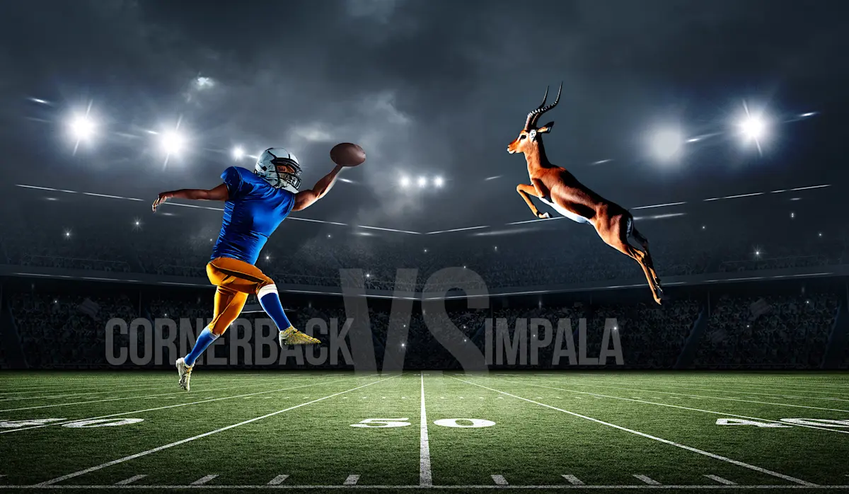 Football cornerback leaping for a ball beside a leaping impala