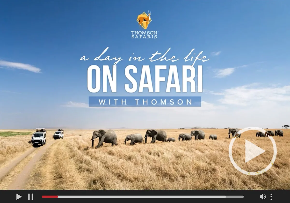Video thumbnail: "A day in the life on safari with Thomson" over elephants and safari vehicles on the plains
