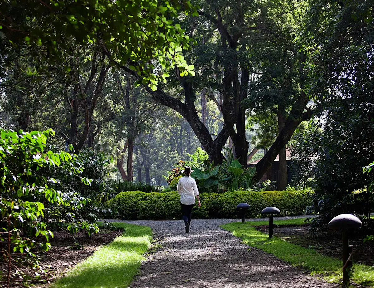 Walking the shaded garden paths of the lodge in Arusha.