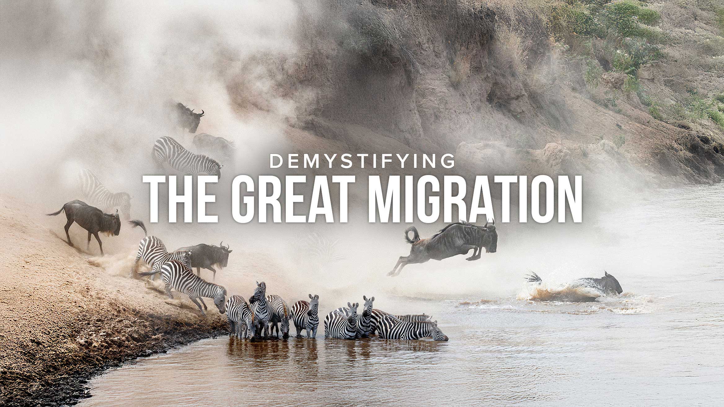 "Demystifying the Great Migration" webinar title over zebras and wildebeest crossing a river