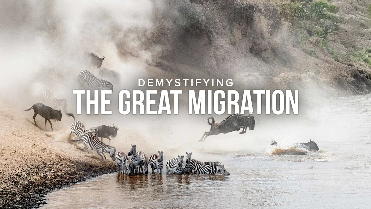 "Demystifying the Great Migration" webinar title over zebras and wildebeest crossing a river