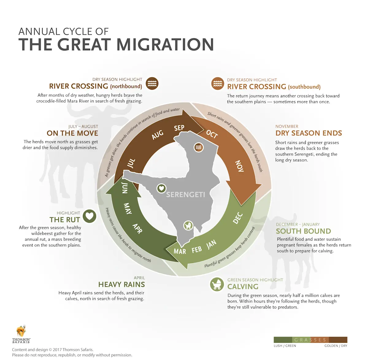 Infographic of the Great Migration's annual cycle through the Serengeti, month by month