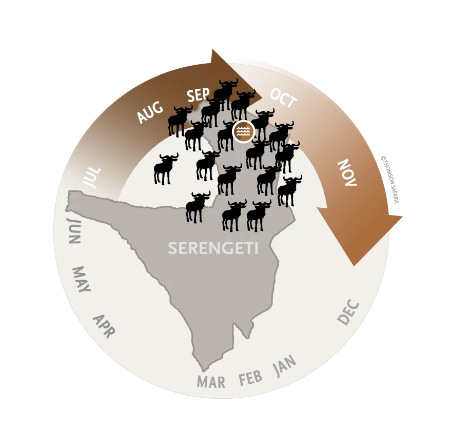 Map of the Serengeti showing the wildebeest herds in the north for the river crossings, July to October