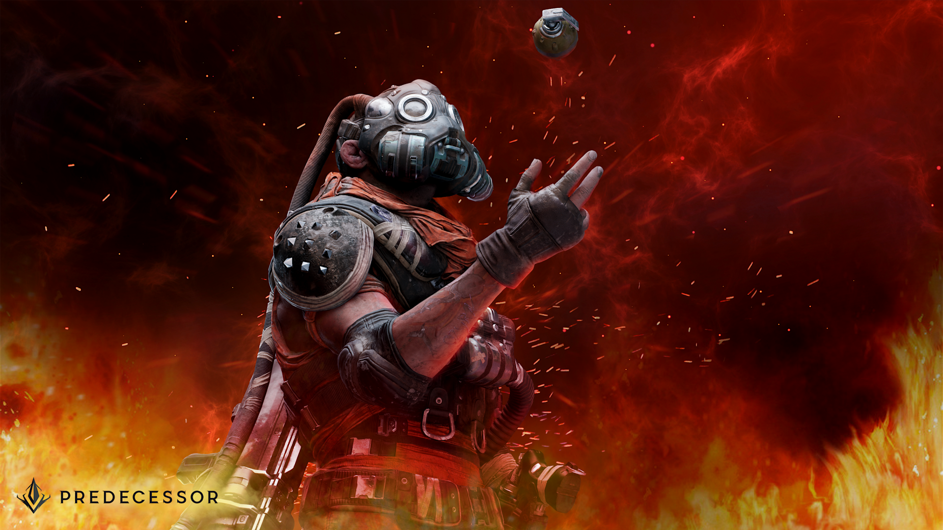 drongo-full-hero-art