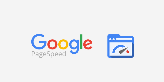 PageSpeed Insight by Google