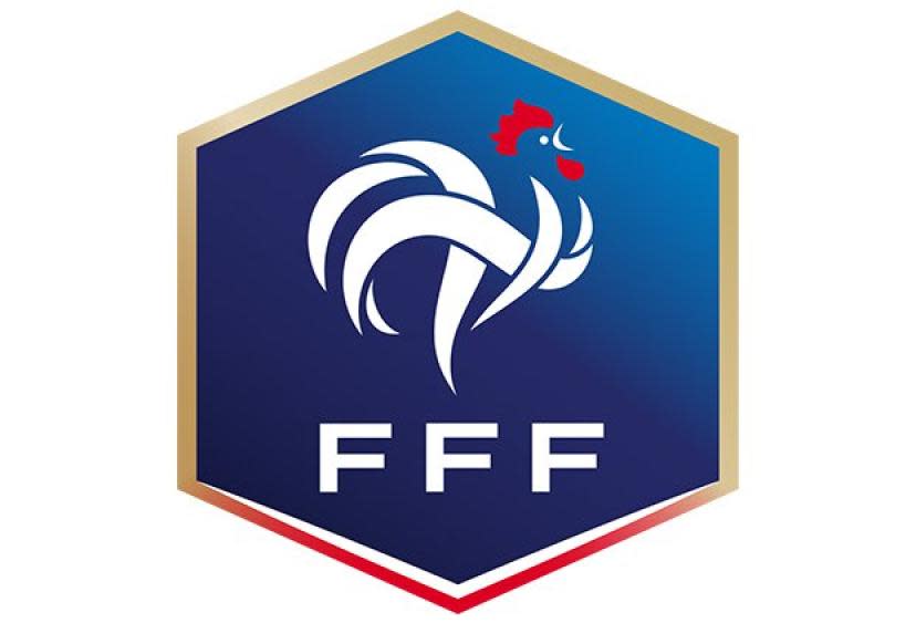 Logo polygone équipe de france