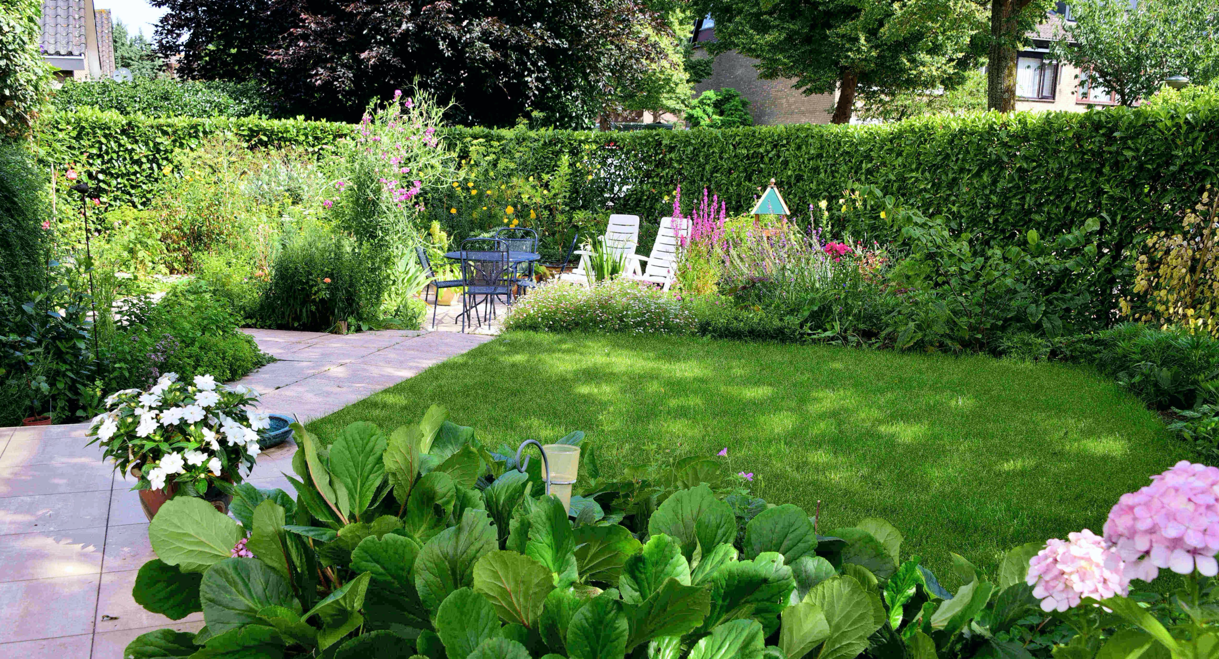 Tuin van Ieneke&nbsp;en Coos van Deursen
