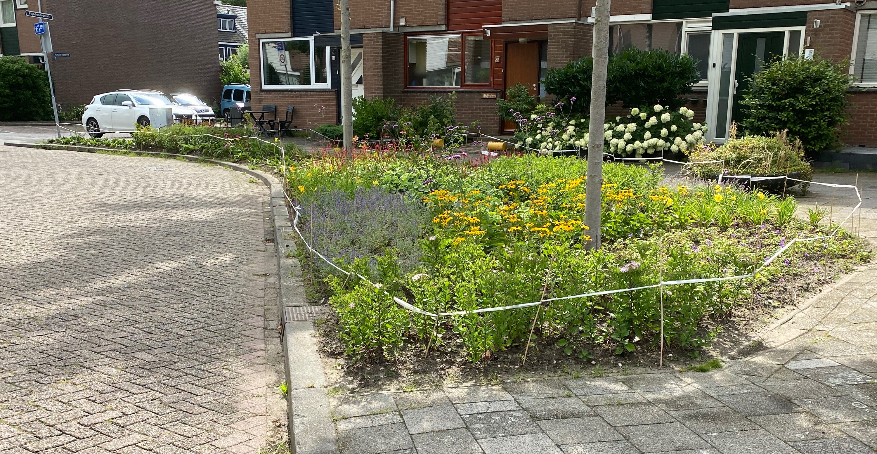 Groen bewonersinitiatief Esdoorndreef&nbsp;