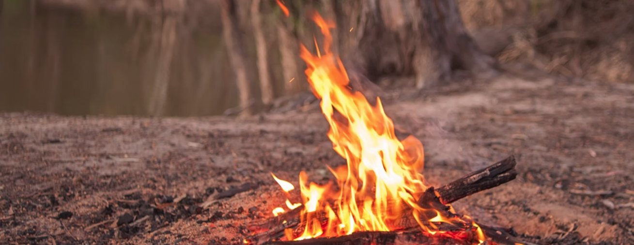 Riverina Murray Regional Alliance