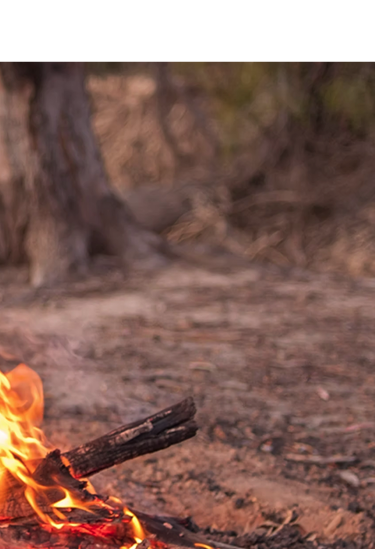 Riverina Murray Regional Alliance
