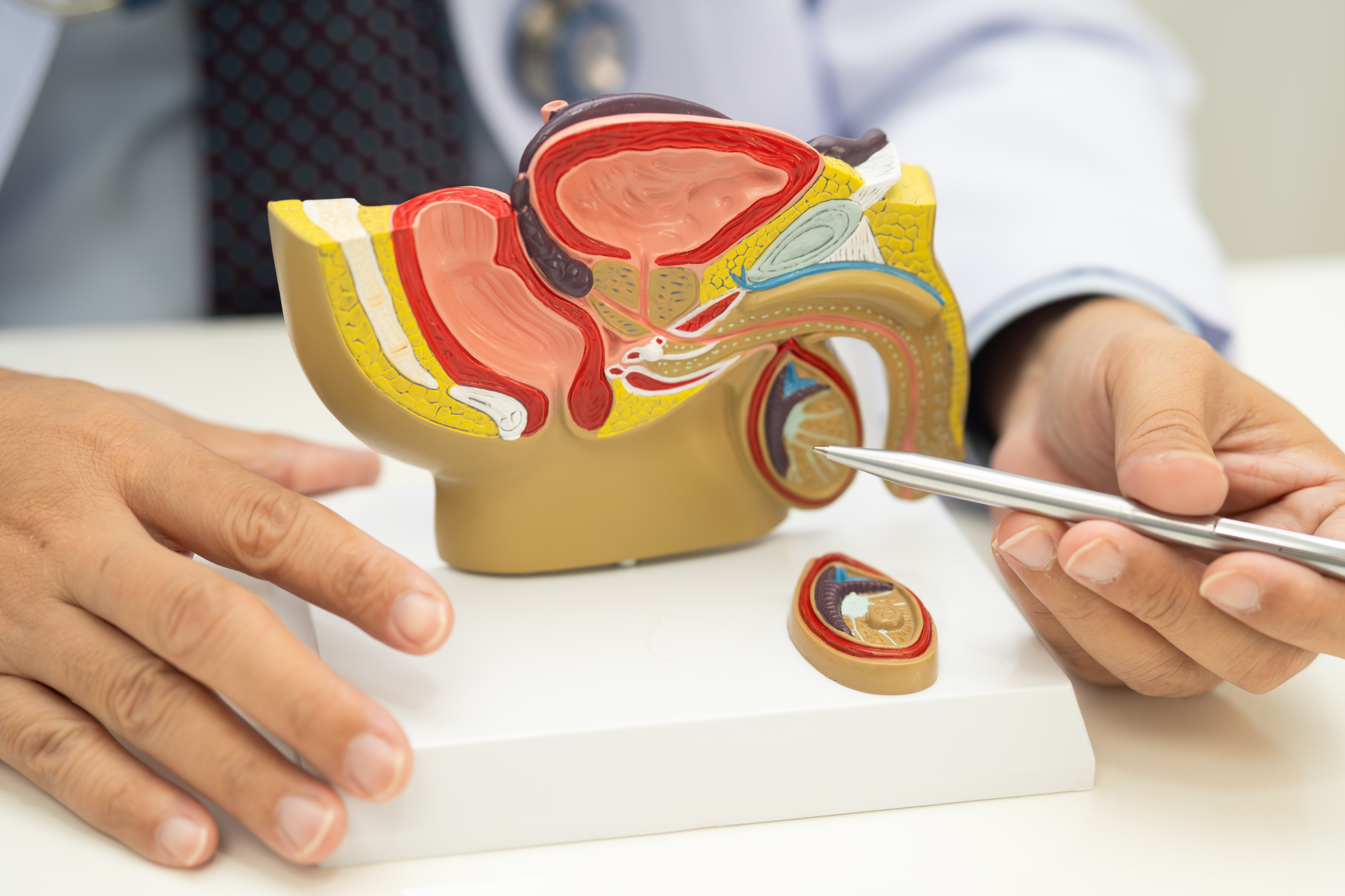 Cirugías urológicas