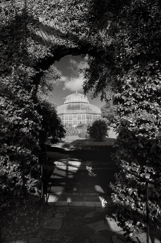 B189 - The Botanic Gardens, Dublin.
