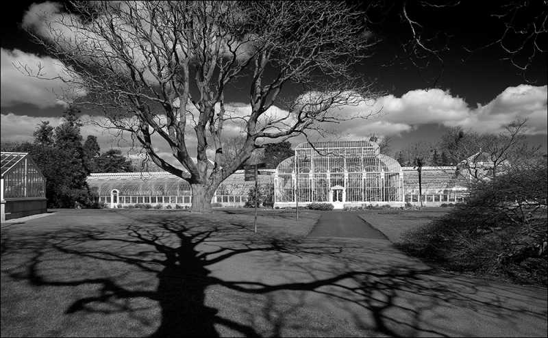 B157 - The Botanic Gardens, Dublin.