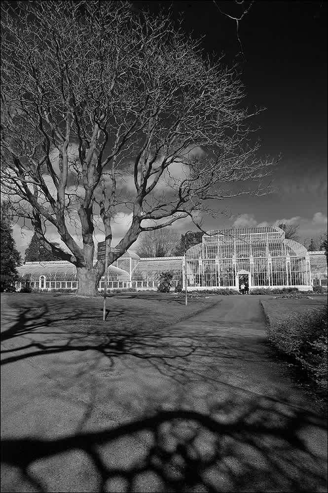 B188 - The Botanic Gardens, Dublin.