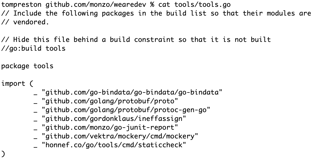 Screenshot of the tools.go pattern. This pattern prevents `go mod tidy` from removing modules that we need but aren’t referenced in the build.