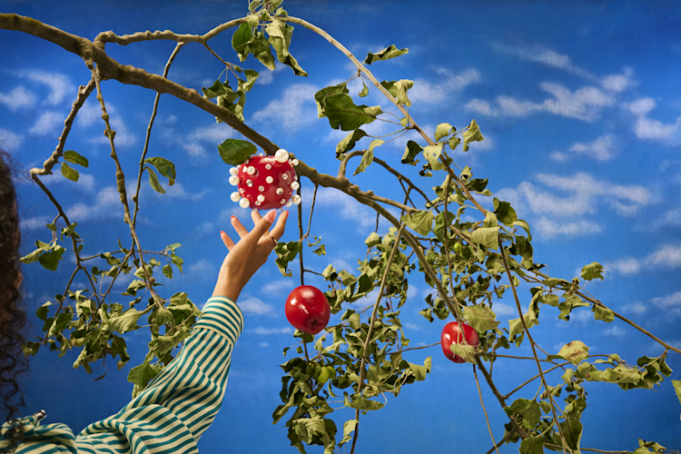 An arm reaches for a red, spiky apple hanging from a tree branch alongside regular red apples, against a cloudy blue sky