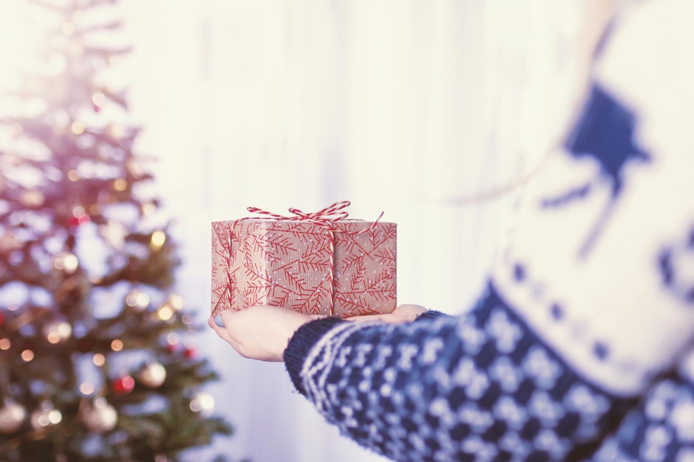 Someone holding a wrapped gift in front of a Christmas tree