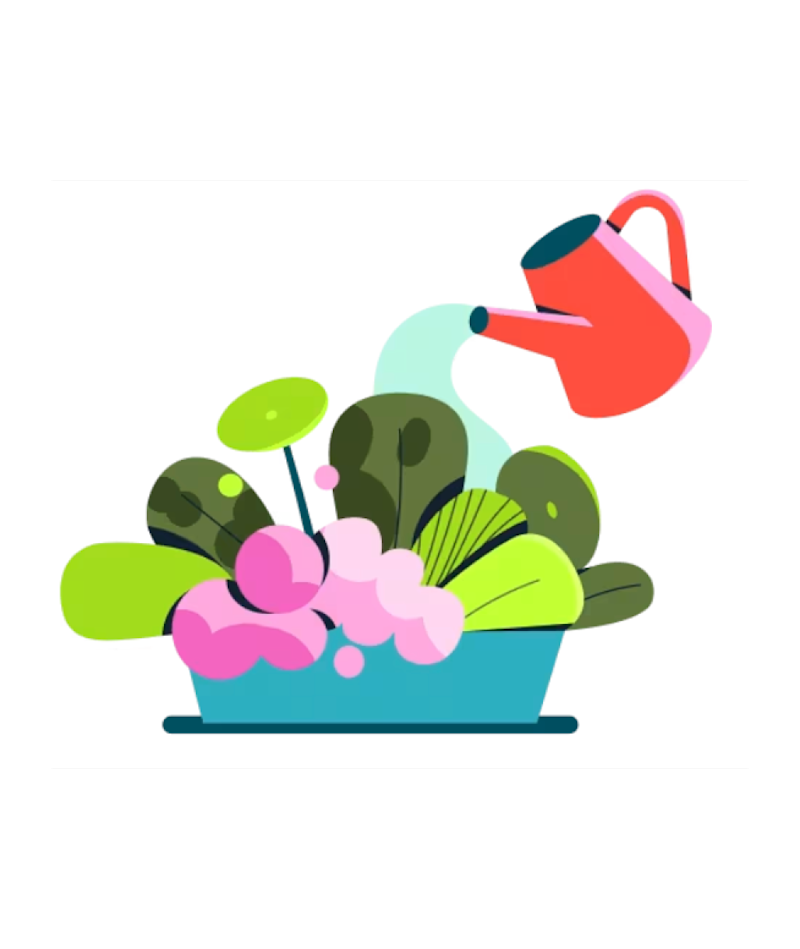 Illustration of a watering can pouring water on flowers.