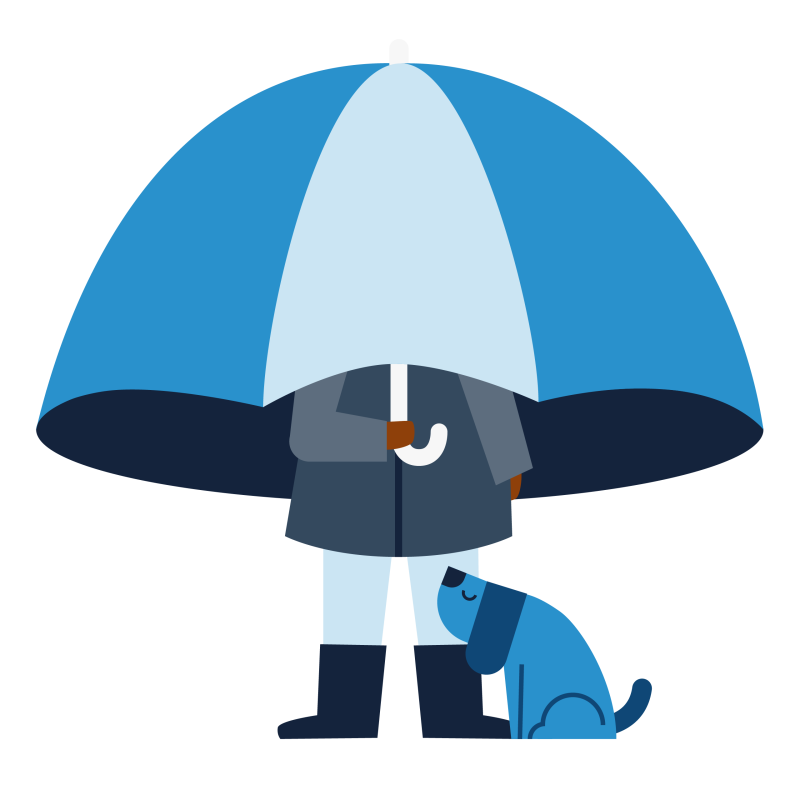 Person with an umbrella and a dog
