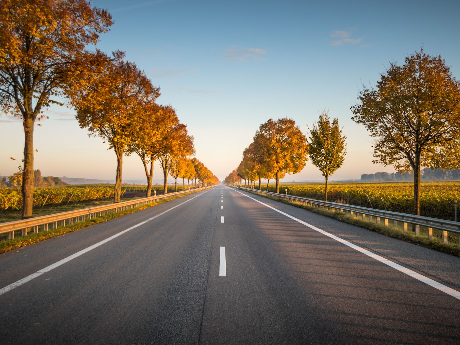 The Most Scenic Driving Routes In Germany SHARE NOW the-most-scenic-driving-routes-in-germany-share-now