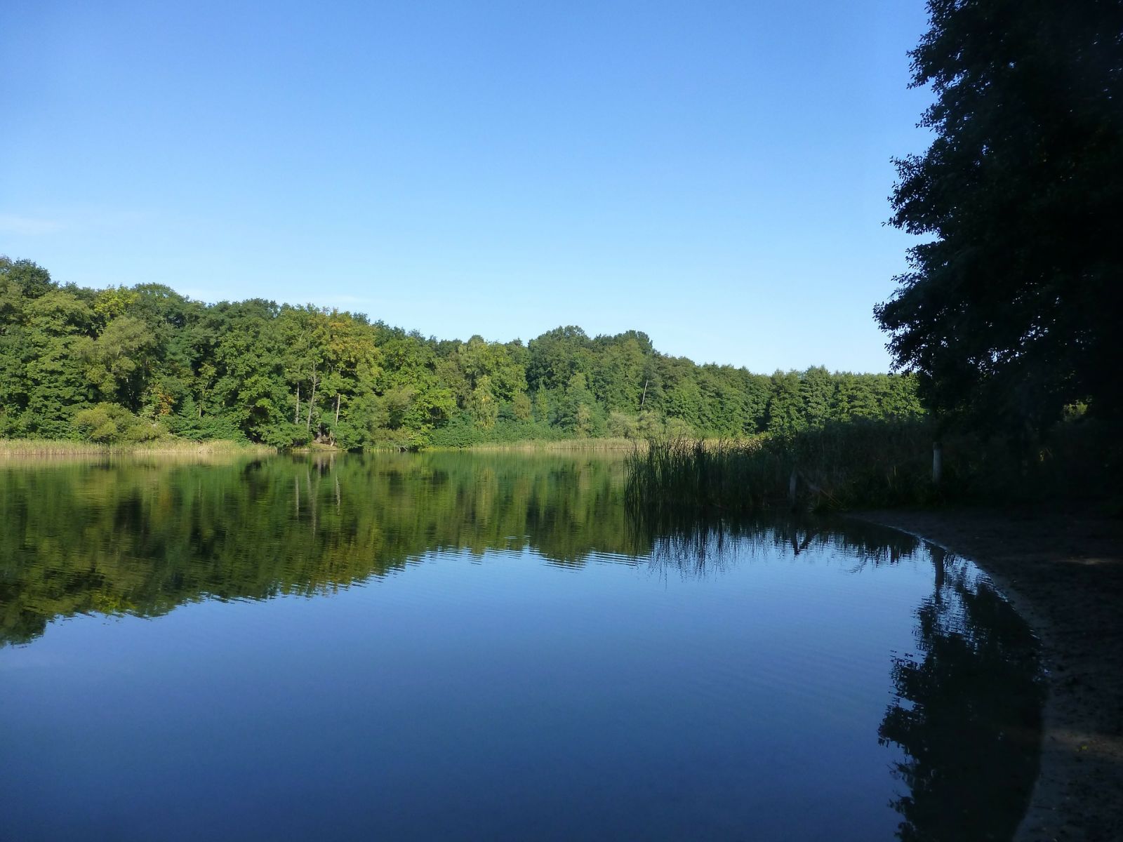grunewald-lake-nature