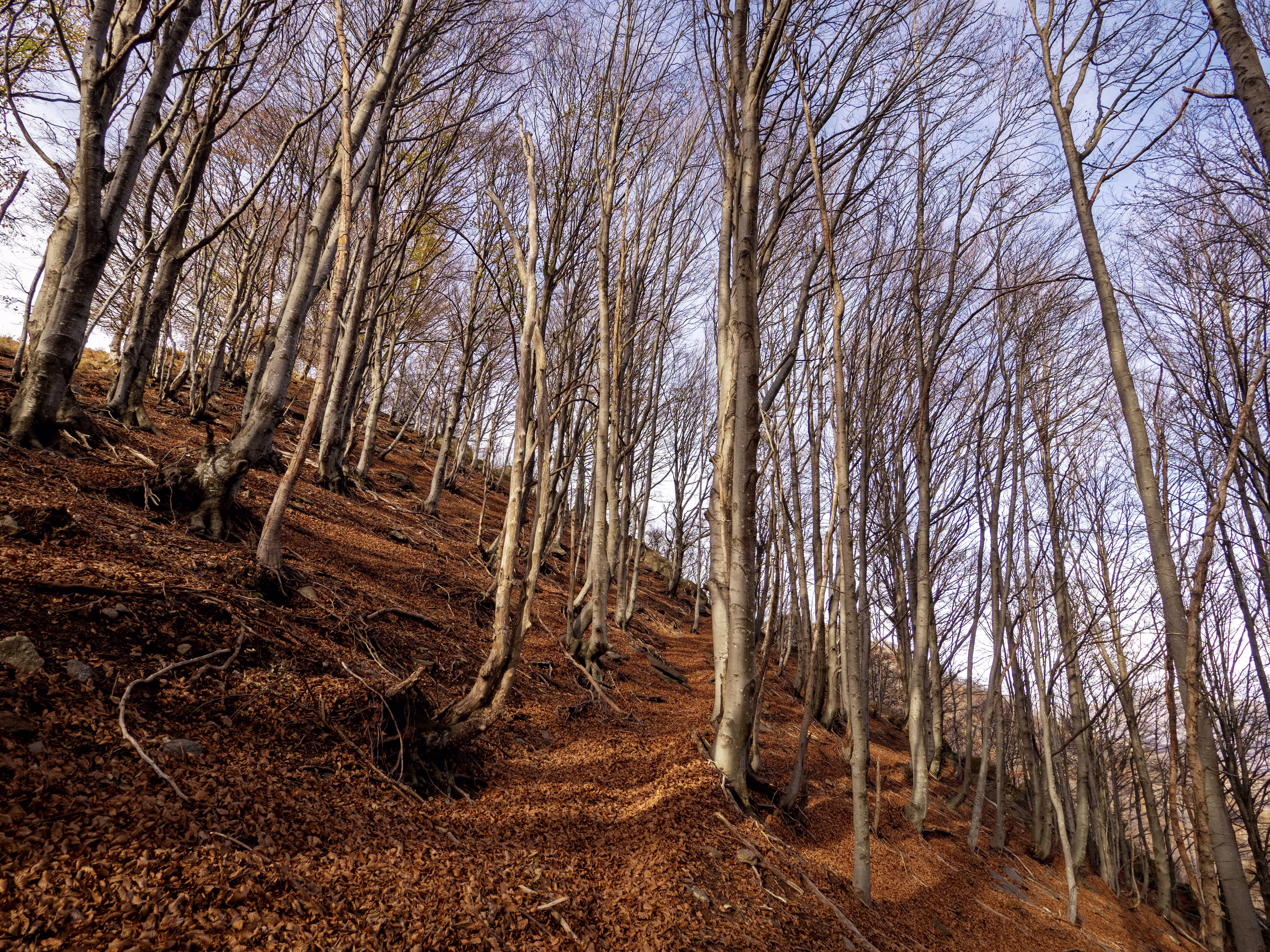 La partenza del sentiero per la vetta dalla colma