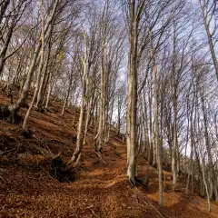 La partenza del sentiero per la vetta dalla colma