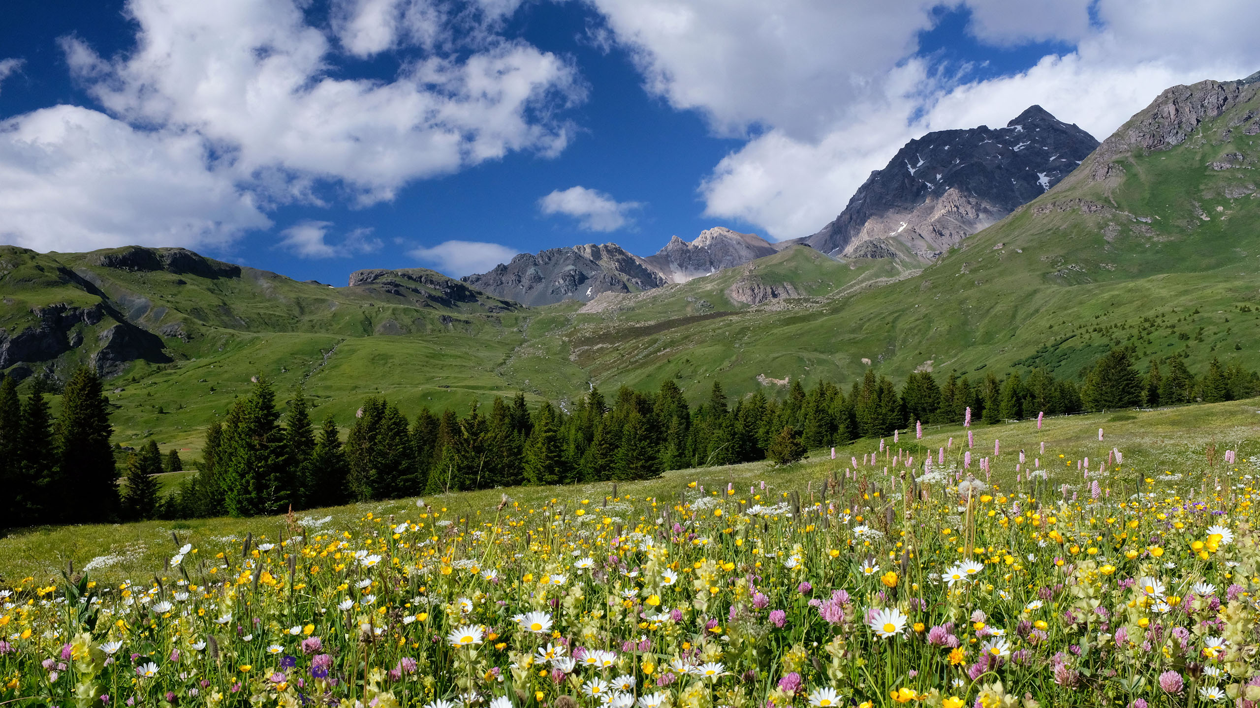 Piz Calderas, La magia dell'alpe flix