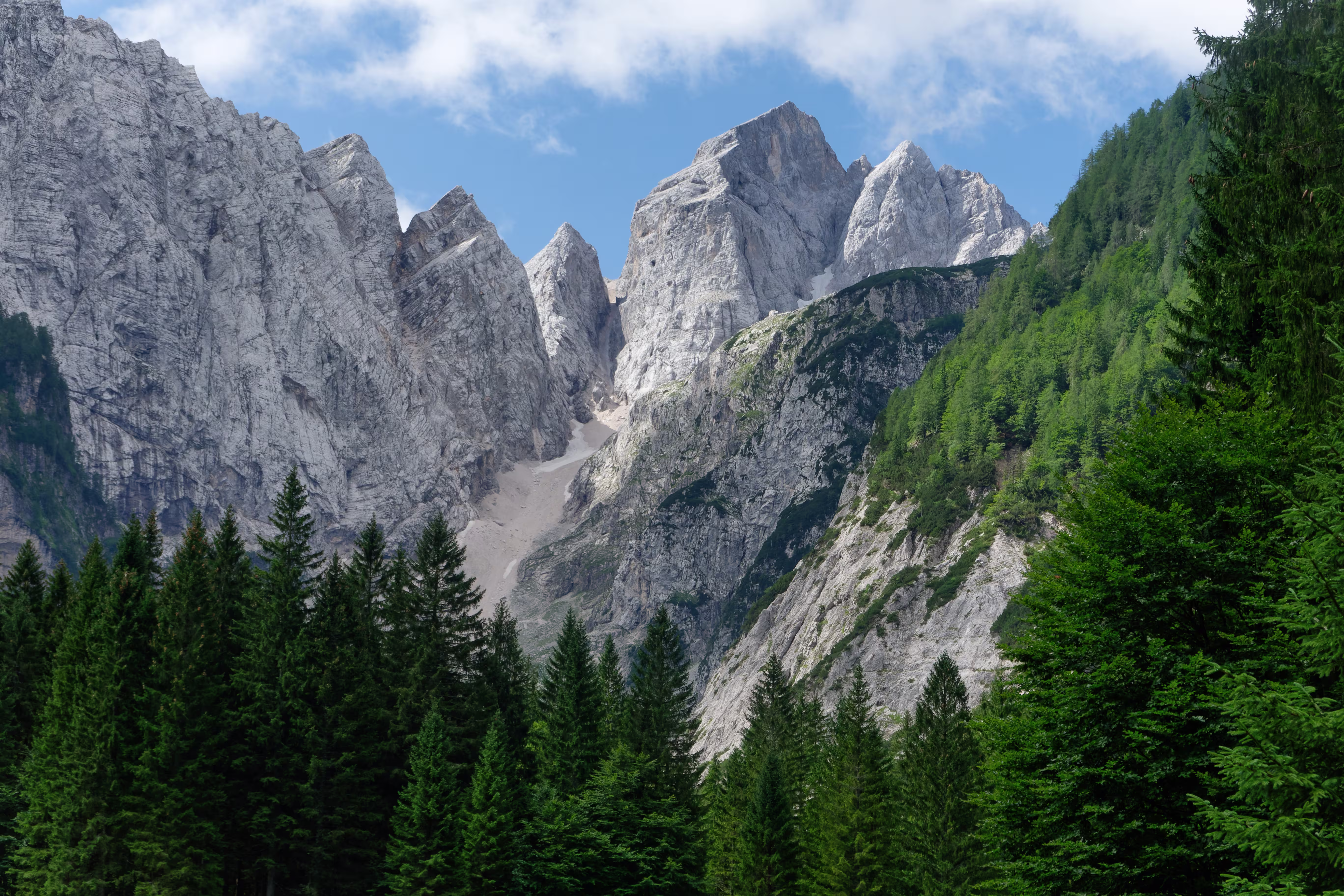 Lo Jalovec dal Dom tamar