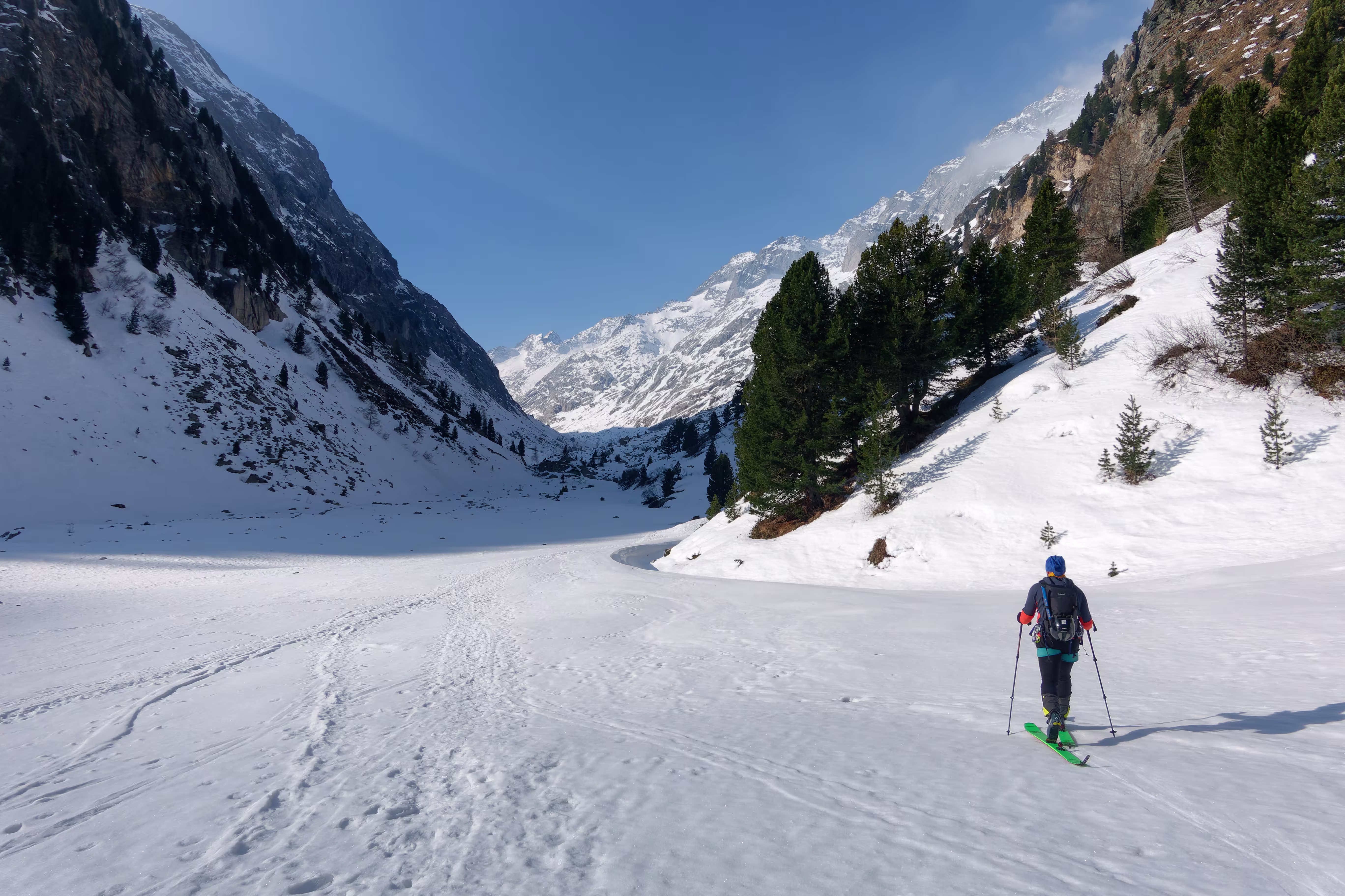 Poco dopo il Plan Canin