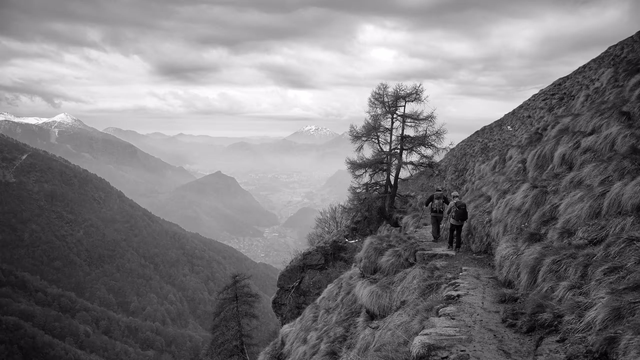 Dalla Bocchetta di Olino