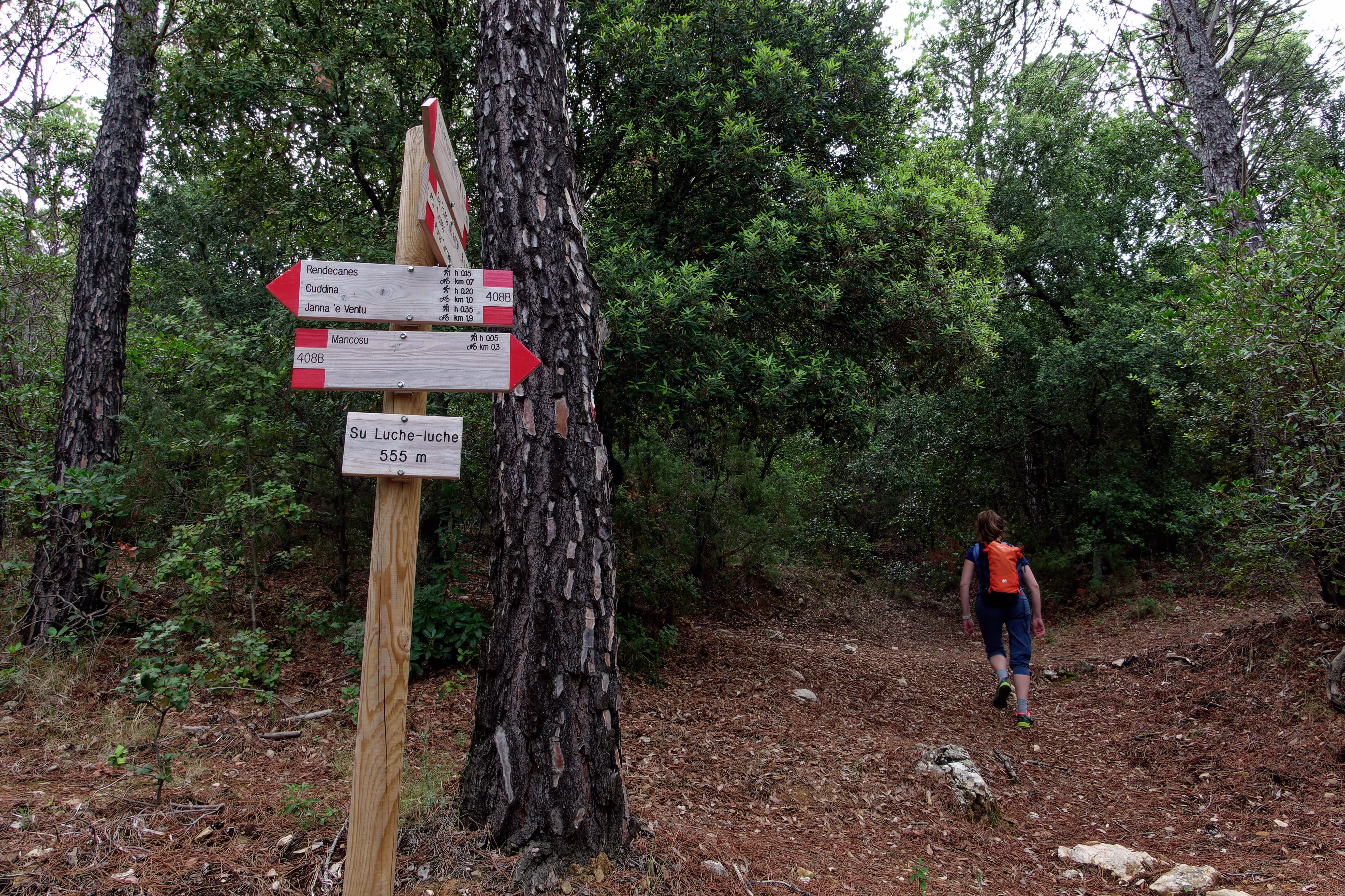 I sentieri sono ben segnati