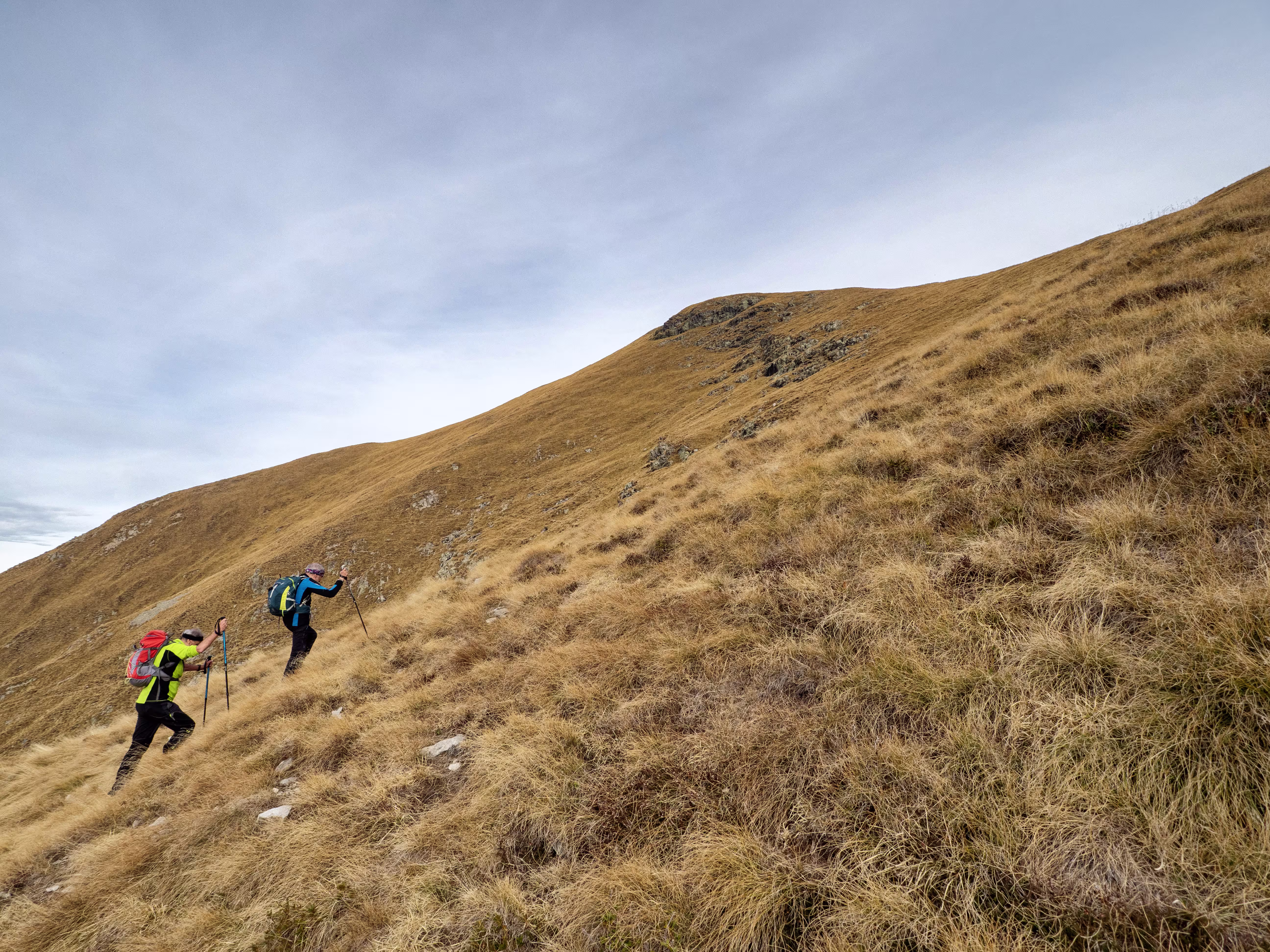Tutta Olina fino in cima