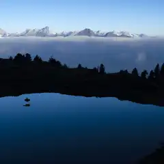 Il Monte Bianco dal lago di Chamolè