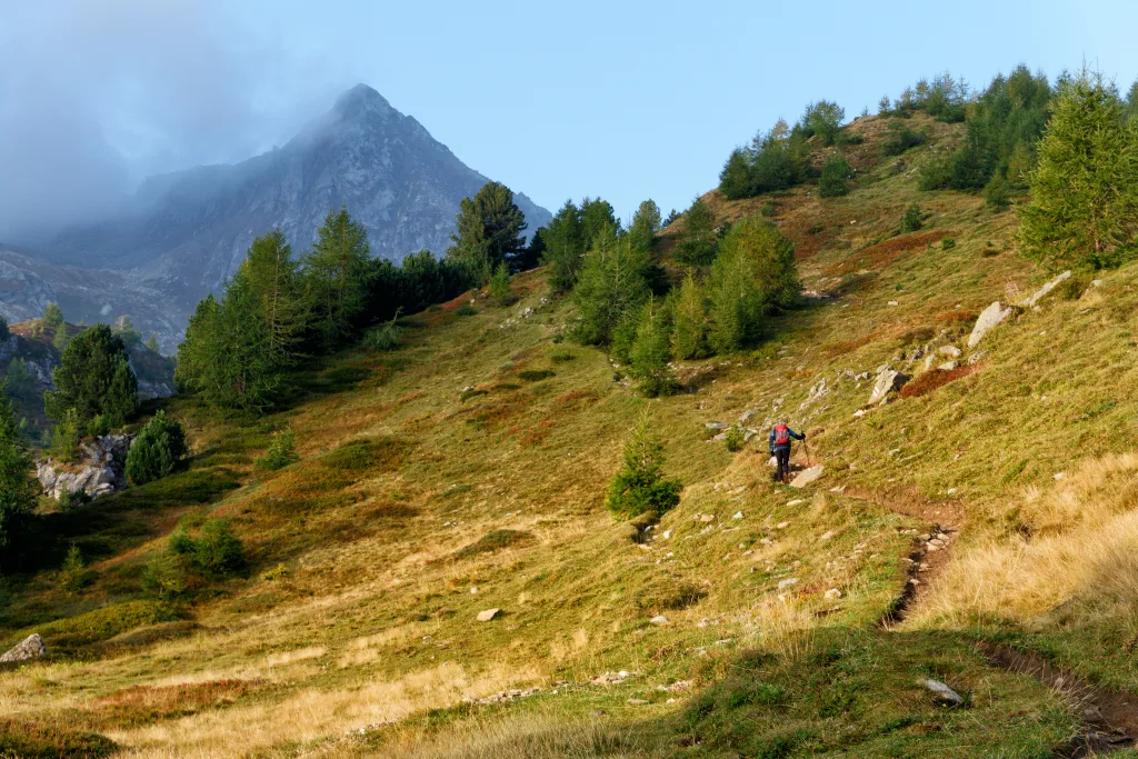 Il Parè Di Scut