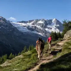 L’Asina del Vittorio Sella