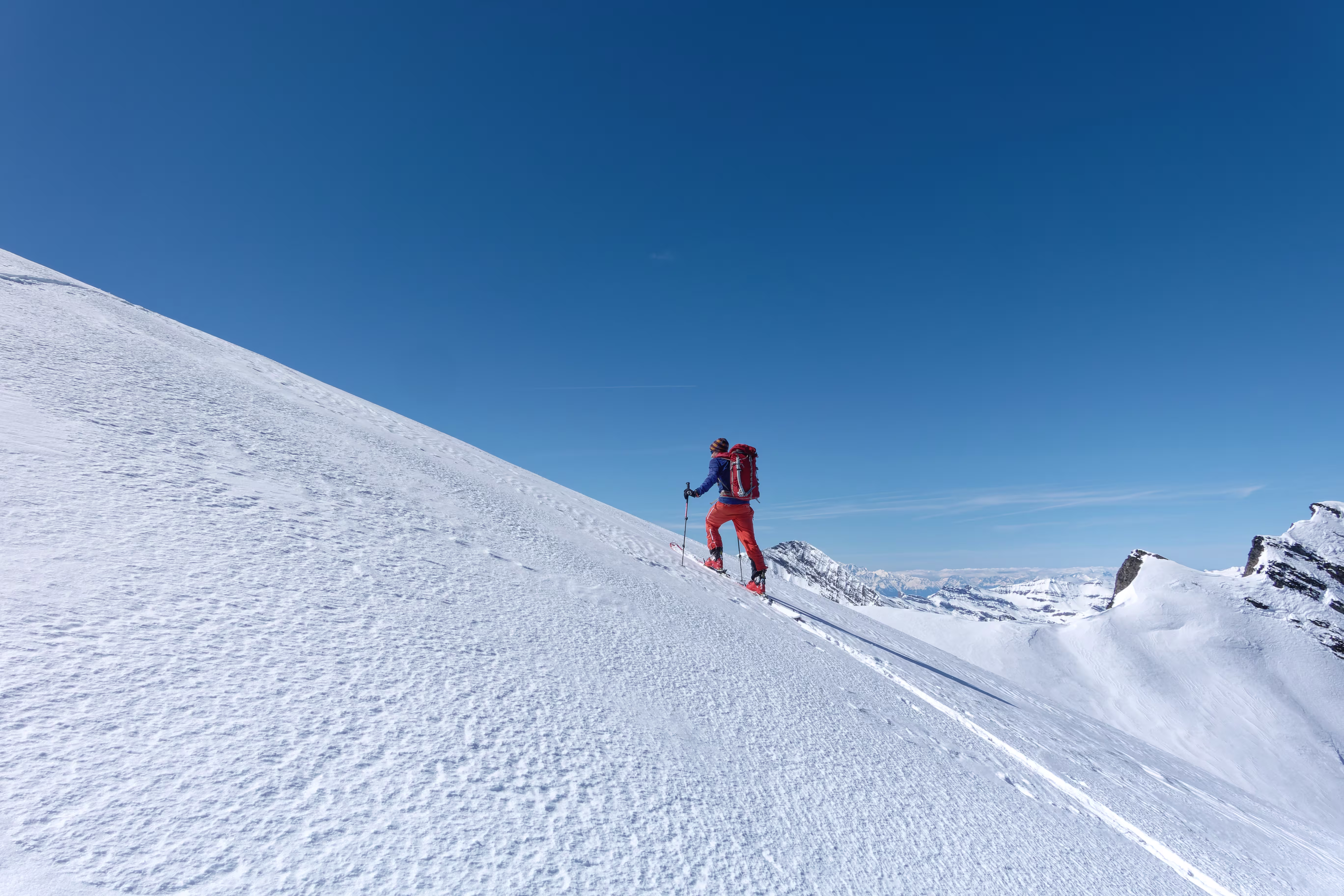 Neve stupenda fino in cima